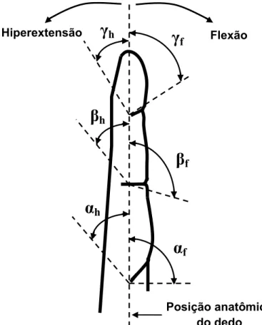 Figura 2.17. Dedo genérico na posição anatômica:  α f ,  β f  e  γ f  correspondem aos ângulos de  flexão e  α h ,  β h  e  γ h  correspondem aos ângulos de hiperextensão das articulações  metacarpofalângica (MCF), interfalângica proximal (IFP) e interfalâ