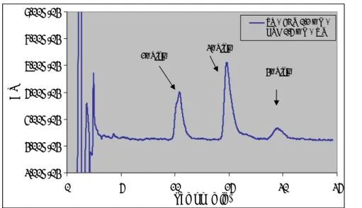 Figura 4.4 - Cromatograma obtido, por detecção de fotodíodos, após injecção de 20 μL de uma  mistura de reacção com adrenalina 0,1 mM (TP + ADR 0,1 mM + GSH 0,5 mM + TIR)