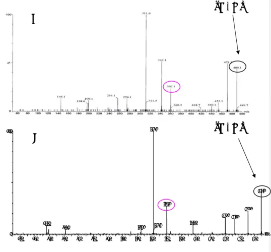 Figura 4.11 - Espectros ESI/MS/MS correspondentes ao fraccionamento do ião molecular  detectado para cada composto (amostra injectada: TP + ADR 0,5 mM + GSH 0,5 mM + TIR)