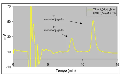 Figura 4.13 - Cromatograma obtido após injecção de 20 μL de uma mistura de reacção contendo  os aductos da ADR com a GSH (TP + ADR 4 μM + GSH 0,5 mM + TIR)
