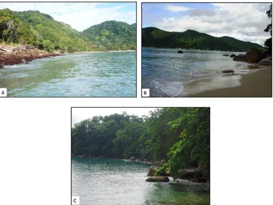 Figura 7. Vista geral dos locais onde foram realizados os estudos no município  de Ubatuba: A- Praia da Fortaleza; B- Praia do Lamberto; C- Praia de Itaguá