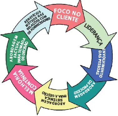 Figura 6 - Princípios da gestão da qualidade 