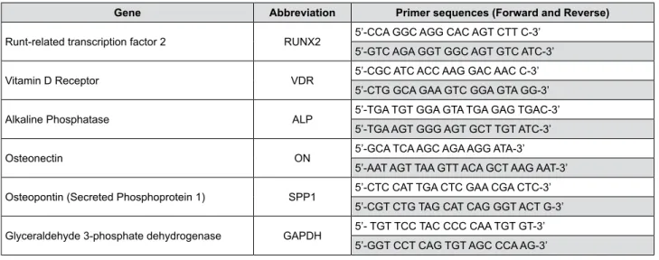 Figure 1-  Sequences of primers used for RT-PCR