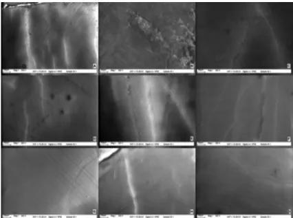 Figure 4-  Scanning electron microscopy (SEM) photographs of Groups 1-9 (x265) 14 days after bleaching (A-I)