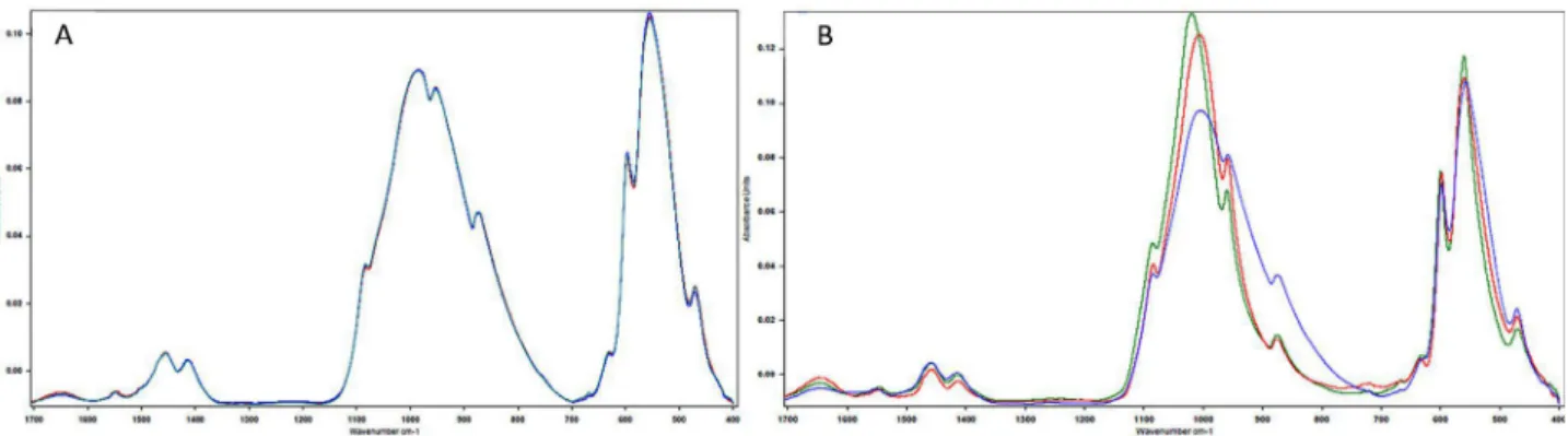 Table 1-  Mean values of the integrated area of each chemical component analyzed using Fourier Transform Infrared Spectroscopy (FTIR) Figure 2- Absorbance spectra for the non-irradiated (green line), irradiated (red line) and fluoride-irradiated (blue line