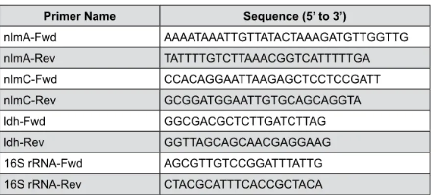 Figure 1-  Primers used for qRT-PCR assays in this study