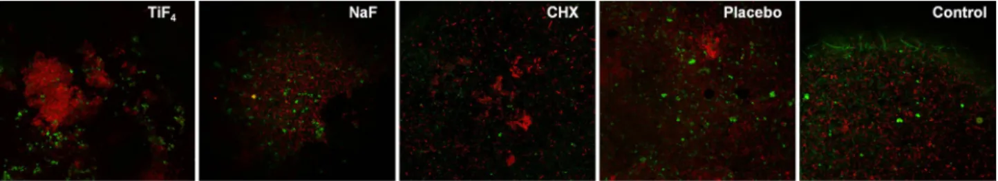 Figure 1-  Representative confocal images of the biofilm formed on enamel samples. *CHX=chlorhexidine