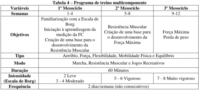 Tabela 4 – Programa de treino multicomponente 