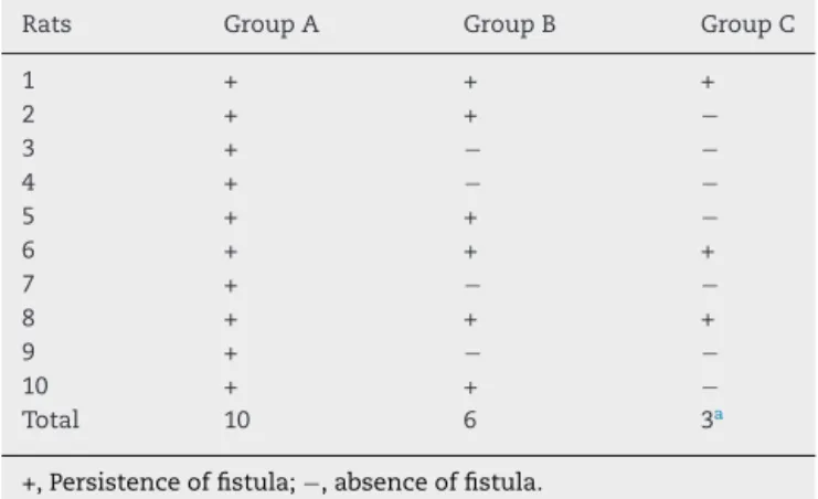 Table 1 – Evaluation of persistence of the fistulous tract in the specimens.