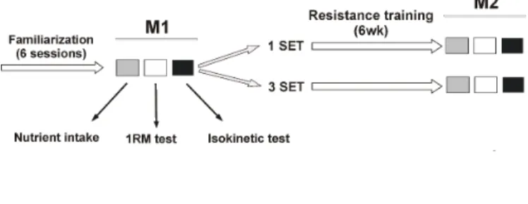Table 1. Physical characteristics of the subjects (N = 18). 