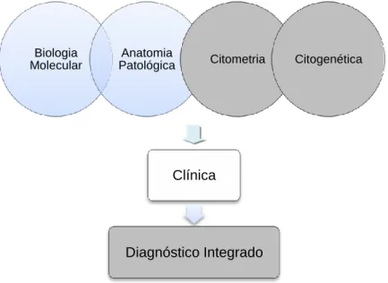 Figura 2. Dinâmica do Diagnóstico Integrado 