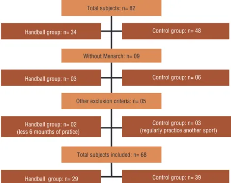 Figure 1. Flowchart of evaluations conducted with each group: handball group (HB) and control  group (GC), with cross-sectional outline.