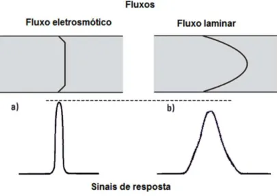 Figura  3  -  Perfis  dos  fluxos  eletrosmótico  (a)  e  laminar  (b),  e  suas  correspondentes  zonas de amostras