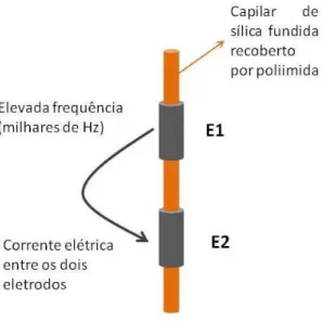 Figura  4  –  Esquema  do  sistema  de  detecção  C 4 D.  E1  e  E2  são  os  dois  eletrodos  do  sistema de detecção