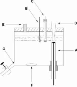 Figura 2:  Diagrama de uma célula BIA:  (A)  eletrodo de trabalho;  (B)  eletrodo auxiliar; (C)  eletrodo de referência; (D) ponteira da micropipeta; (E) orifício para preenchimento da célula; 