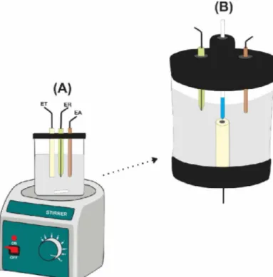 Figura 8:  (A)  Célula eletroquímica típica de três eletrodos para deposição ex-situ do filme de  mercúrio