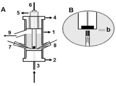 Figura 8: A) Célula eletroquímica do tipo “wall jet” usado no trabalho. Tubo de vidro (1) fechado 