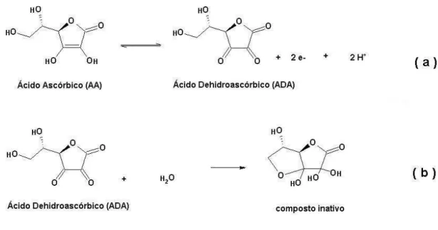 Figura 13: Esquema da reação de oxidação do AA (a) e da reação de hidrólise (b) [142]