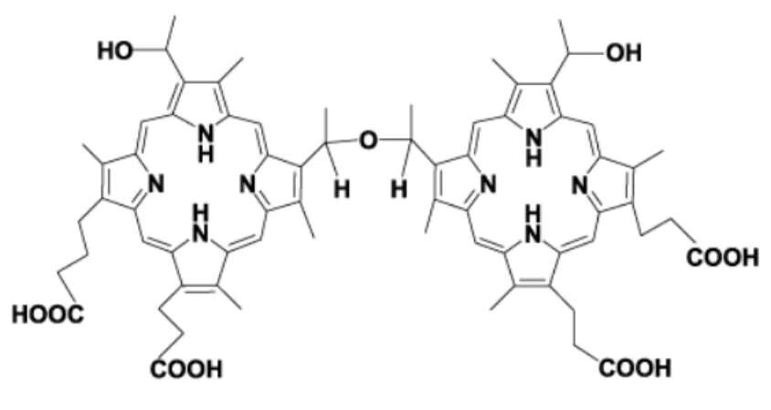 Figura  2:  Hematoporfirina  na  forma  de  éter  presente  na  mistura  de  oligômeros  que  compõem  a  Photofrin ® (SIMPLICIO  ., 2002) 