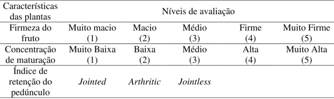 TABELA  3.  Características  avaliadas  visualmente  na  primeira  etapa  avaliativa. 