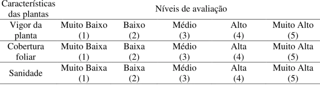 TABELA  4.  Características  avaliadas  visualmente  na  segunda  etapa  avaliativa. 