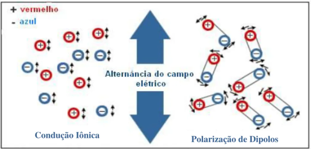 Figura 2.7 - Mecanismo de aquecimento por microondas. 