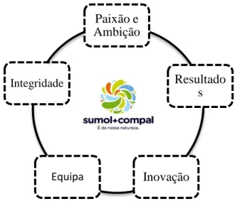 Figura 1: Valores da Marca SUMOL + COMPAL 
