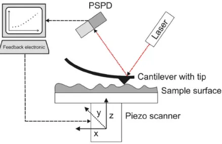 Figure 14 - Schematic illustration of an AFM equipment, figure adapted from (57). 