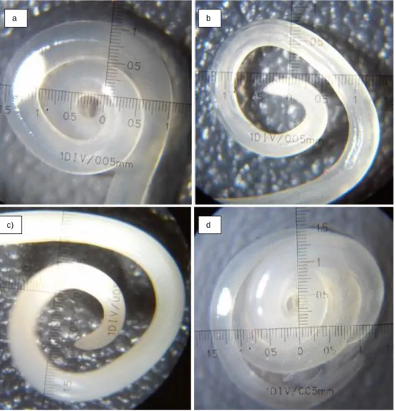 Fig. 7- As figuras a), b), c) e d) são alguns dos exemplares de nemátodes encontrados na sardinha (Sardina  pilchardus) e na cavala (Scomber colias)