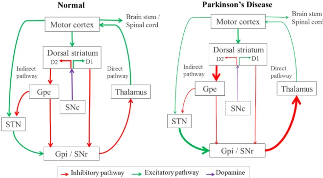 Figure 1.1: Circuity between basal ganglia-thalamo-cortical motor structures with simplified inhibitory and excitatory connections, in red and green respectively