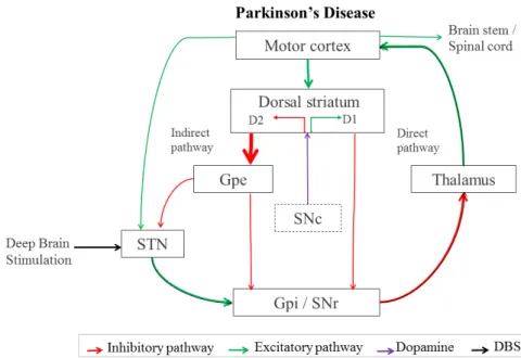 Figure 1.2: Basal ganglia-thalamo-cortical circuitry in Parkinson’s Disease with alterations induced by STN-DBS in both inhibitory and excitatory pathways