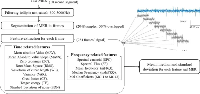 Figure 3.9: Workflow for MER analysis and extraction of time and frequency related features.