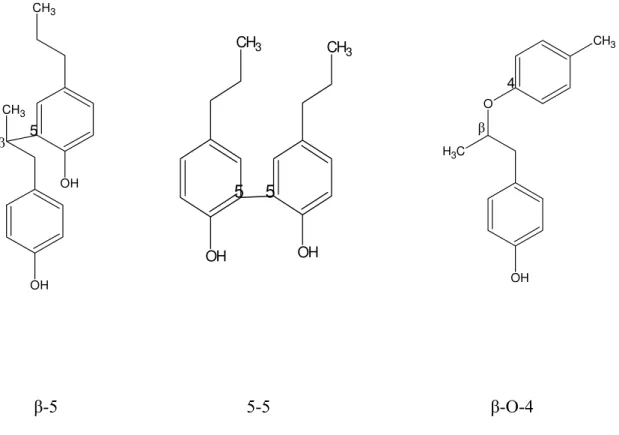 Figura 02. Principais tipos de ligações entre as unidades fenilpropanóides presentes  na molécula de lignina 3 
