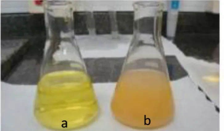 Figura 5- Exemplo de soluções antes (a) e depois (b) da viragem de cor que  indica o fim da titulação 