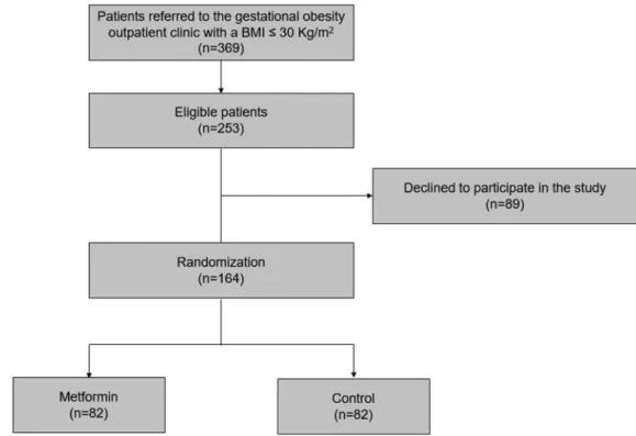 Fig. 1 Flowchart of the participants at each stage of the study.
