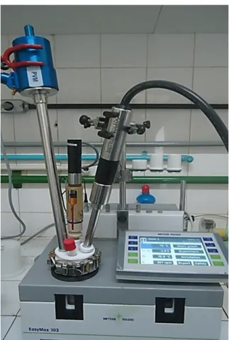 Figura 3.21 – Cristalizador Easymax® com as sondas do FBRM® e PVM® acopladas. 