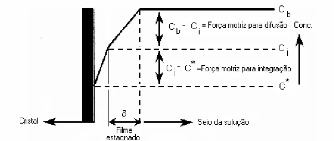 Figura 2.7 - Perfil de concentração perpendicular à superfície do cristal durante o crescimento