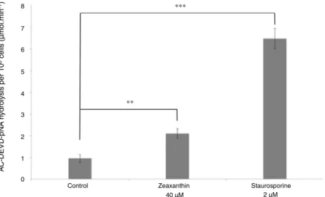 Fig. 8. Zeaxanthin induces caspase-3 activation in A2058 melanoma cells. A2058 cells were grown for 72 h in a control cell culture medium or in a medium containing zeaxanthin 40 ␮M or staurosporine 2 ␮M (positive control for apoptosis induction).