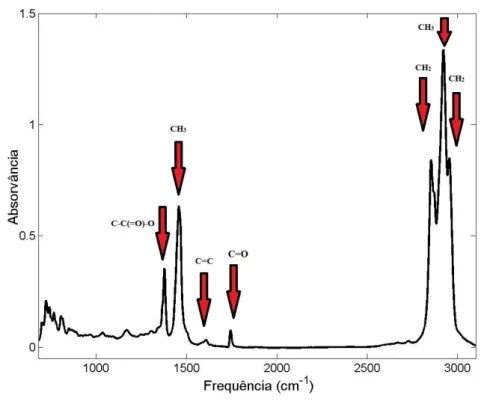 Figura 10 - Espectro MIR de regiões de absorvâncias de grupos funcionais na mistura de B5