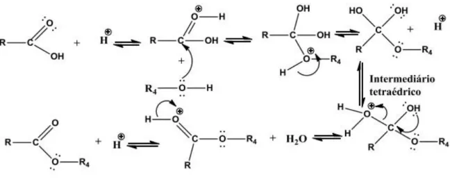 Figura 3  –  Mecanismo de reação de esterificação via catálise ácida.