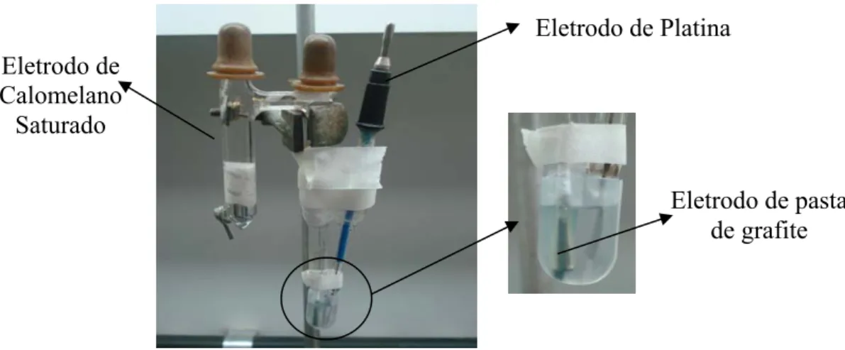 Figura 5: Sistema eletroquímico para eletrodos de pasta de carbono.  