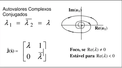 Figura 2.13: Foco estável para  Re( λ ) &lt; 0  - Autovalores complexos conjugados  2.3.7 Órbitas para as Formas Não-Diagonais de Jordan  