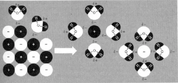 Figura 1. A dissolução de um sólido iônico na água mostrando a hidratação de íons positivos  e negativos pelas moléculas muito polares da água (extraído de SOLOMONS, 1996)