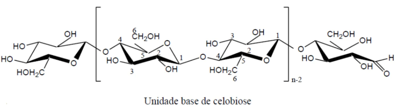 Figura 2.1- Estrutura parcial da celulose com representação da unidade repetitiva, celobiose  (KLEMM et al., 2005)