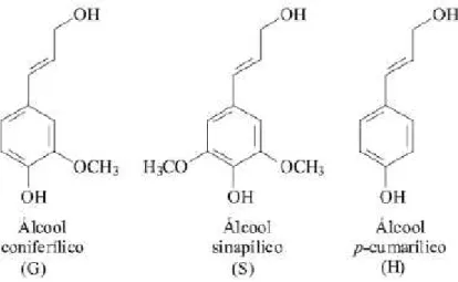 Figura  2.7  -  Unidades estruturais precursoras da  lignina: álcool coniferílico, sinapílico e ρ - -cumarílico (BARBOSA et al., 2008)