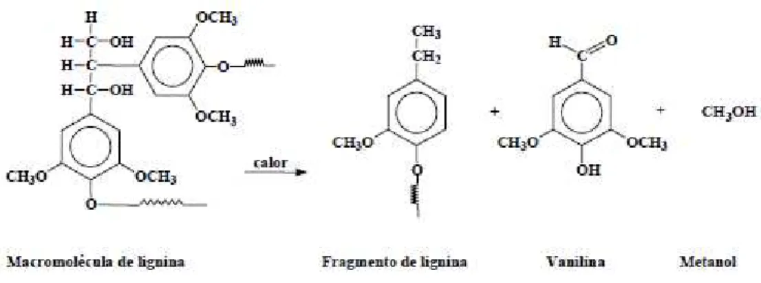 Figura 2.8 - Fragmentação da lignina no processo de pirólise (PEREZ, 2004). 