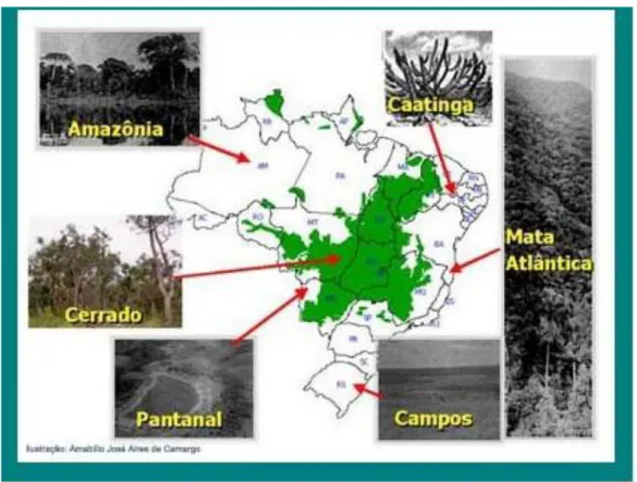 Figura 1: Mapa dos Biomas Brasileiros, com destaque no Bioma Cerrado. 