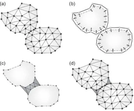 Fig.  3.6.  Generating  of  the  contact  mesh:  (a)  Original  Mesh;  (b)  Removal  of  internal  nodes  and  shrinkage;  (c)  Creation  of  the  contact  mesh;  (d)  Original  boundary and mesh retrieved