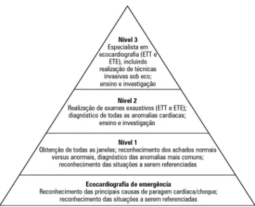Figura 1 - Níveis de competência em ecocardiografia.  ETT - ecocardiograma transtorácico; 