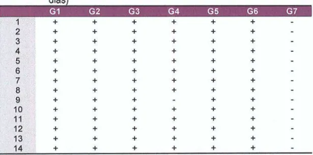 Tabela  2  - Resu ltados  do  teste  do  lisado  de  amebócito  de  Limulus  (análise  qualitativa)  obtidos  na  segunda  co leta  (após  sete  dias  1  2  +  +  +  +  3  +  +  +  +  +  +  4  +  +  +  +  +  +  5  +  +  +  +  +  +  6  +  +  +  +  +  +  7  